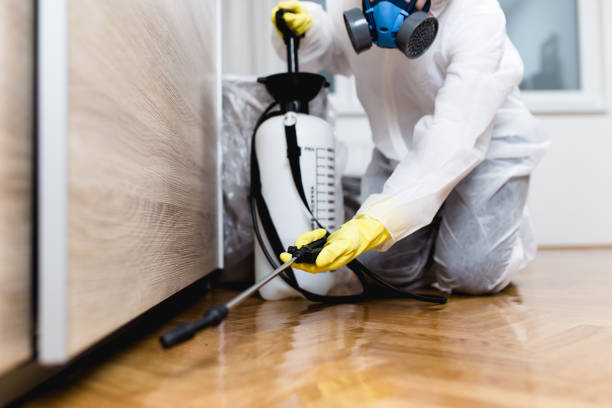Best Pest Prevention Services  in Friendly, MD