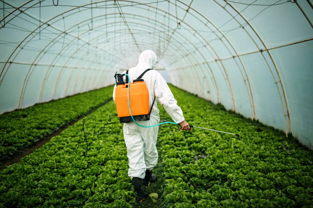 Best Affordable Pest Control Services  in Friendly, MD