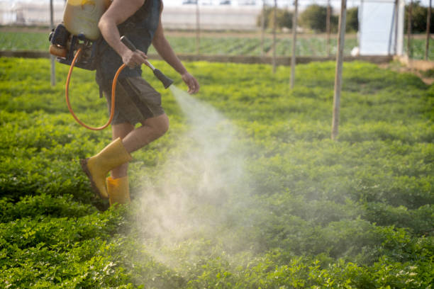 Best Pest Control Cost  in Friendly, MD