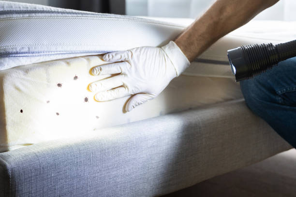 Best Rat Extermination Near Me  in Friendly, MD