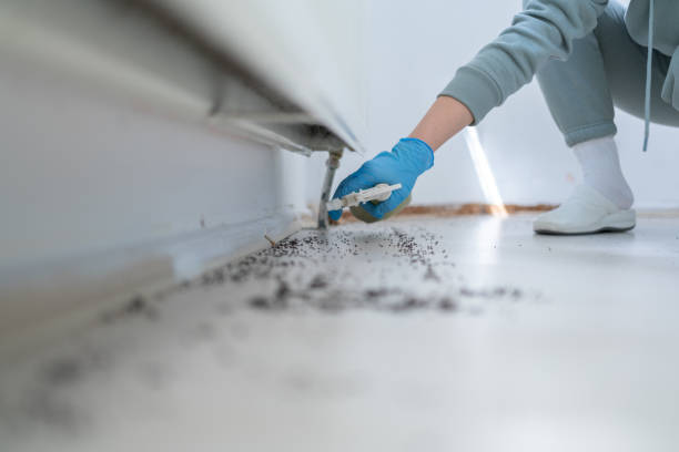 Best Flea Control Services  in Friendly, MD