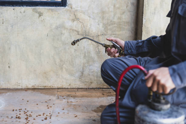 Best Local Pest Control Services  in Friendly, MD